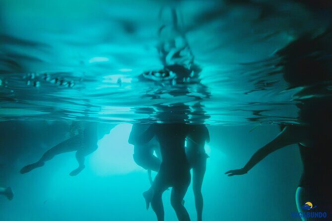 8 Hour Private Sea Safari Speedboat Dubrovnik - Practical Details