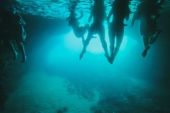 8 Hour Private Sea Safari Speedboat Dubrovnik - The Sum Up: Who Is This Tour Best For?