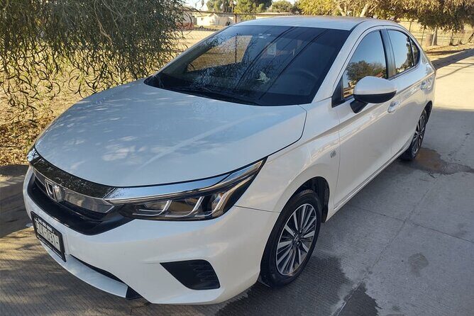 8 Hour Private Tour in the Guadalupe Valley 1-4 Passengers - The Tour Experience: What You Can Expect