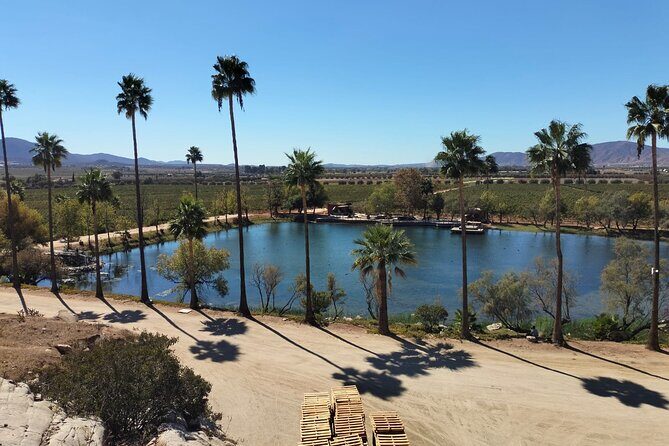 8 Hour Private Tour in the Guadalupe Valley 1-4 Passengers - Frequently Asked Questions