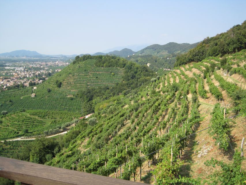 8-Hour Prosecco Wine and Tastings Tour From Venice or Padua - Highlights of the Tour