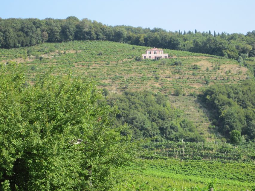 8-Hour Prosecco Wine and Tastings Tour From Venice or Padua - Exclusions and Additional Information