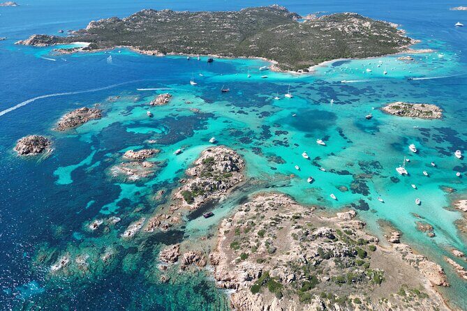 8-hour tour of the La Maddalena Archipelago Ponte VIP - Who Is This Tour Best For?