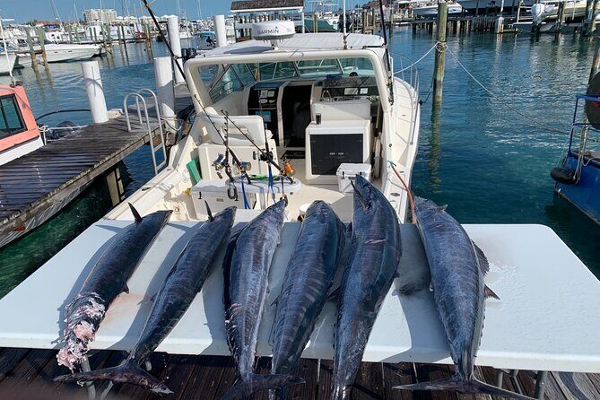 8 hours 38ft Reel Dreams Private Charter Nassau - FAQs