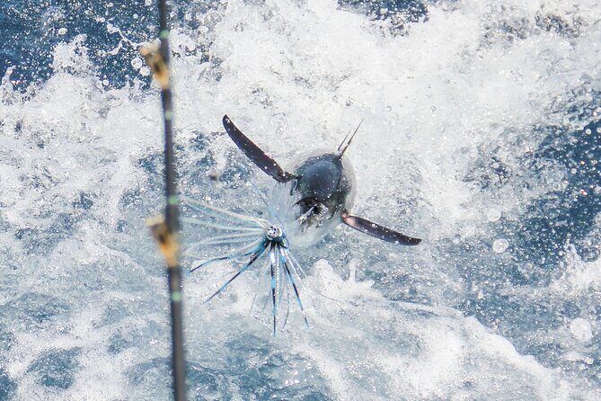 8 Hours Private Sport Fishing Charter Trip in Cabo San Lucas - Final Thoughts