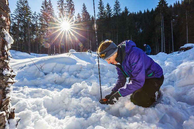 8 Hours Skitour Trip in Tatra Mountains for Advanced - Pricing Considerations