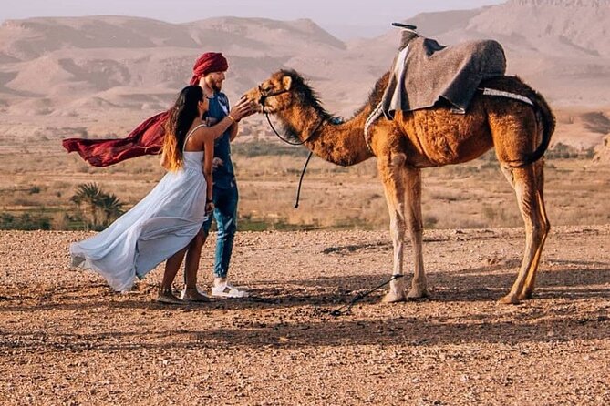 8D Morocco Luxury Private Tour From Casablanca By Imperial Cities - Exclusions to Consider