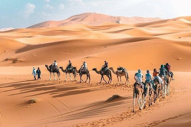 8D Morocco Luxury Private Tour From Casablanca By Imperial Cities - Meeting and Pickup Process