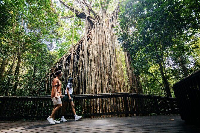 9 Day Brisbane to Daintree Whitsundays Great Barrier Reef Comfort - Starting in Brisbane: City Charm and First Impressions