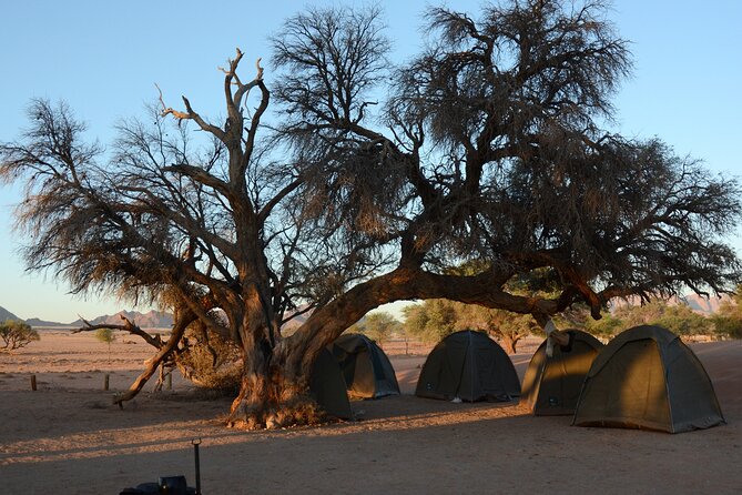 9 Day Canyons, Dunes & Wildlife Camping and Lodge Safari - Inclusions