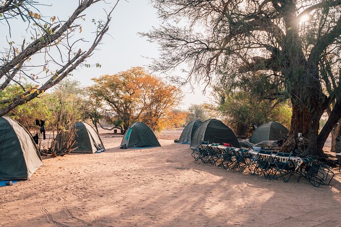9 Day Etosha, Skeleton Coast and Sossusvlei Camping and Lodge Safari - Himba Village Visit