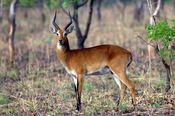 9 Day Ghana Wildlife and Culture Tour - Booking Information
