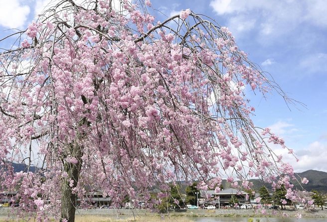9-Day Japan and South Korea Highlight Tour - Booking Information