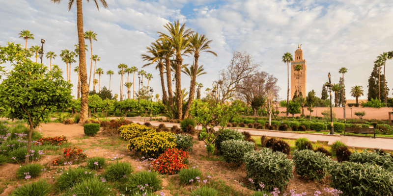 9 Day Private Tour From Tangier to Marrakech - Immersive Fes Tour