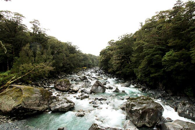 9 Day South to North Island NZ Private Tour from Queenstown - Frequently Asked Questions