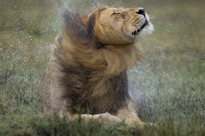 9 Days of Private Safari Tour in Serengeti and Ngorongoro - Inclusions and Amenities