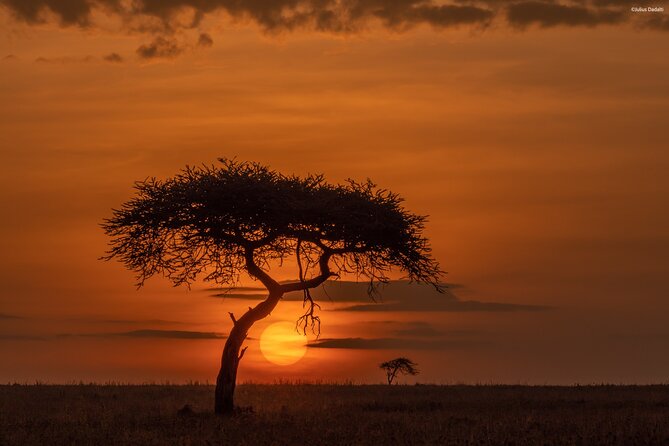9 Days of Private Safari Tour in Serengeti and Ngorongoro - Transportation Details