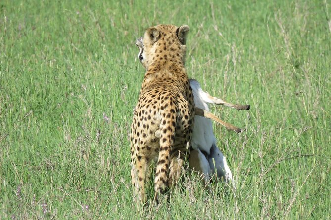 9 Days Safari To See Great Migration Crossing - Packing and Preparation Tips