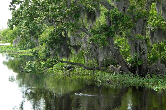 90-Minute Jean Lafitte Swamp and Bayou Tour With Transportation - Booking Recommendations