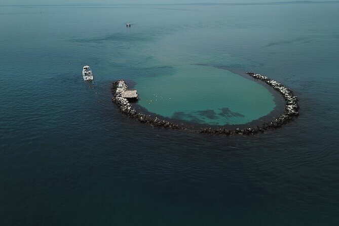 90 minute wildlife and scenic cruise - A 90-Minute Wildlife and Scenic Cruise on Mornington Peninsula: An Honest Look