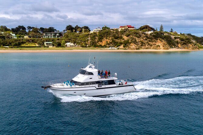 90 minute wildlife and scenic cruise - FAQs