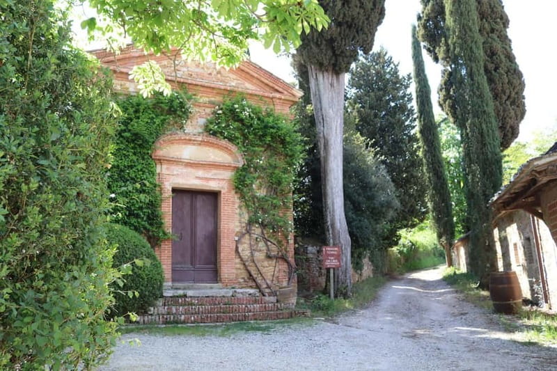 A 16th-century farmhouse between the Crete Senesi and Val d'Orcia, a tour through history and wine. - Key Points  