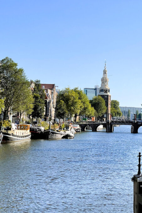 A 3-Hour Private Tour Through Amsterdams Golden Era - What to Expect During the Tour