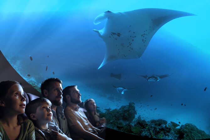A 360° Immersive Ocean Movie Experience (Catalina Island) - Good To Know