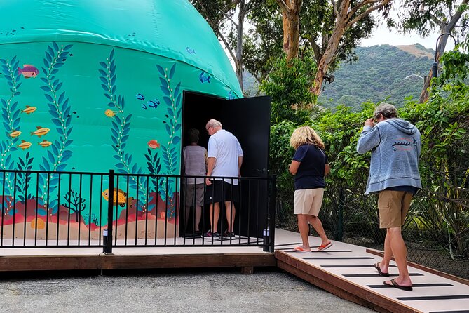 A 360° Immersive Ocean Movie Experience (Catalina Island) - Immersive Cinematic Journey