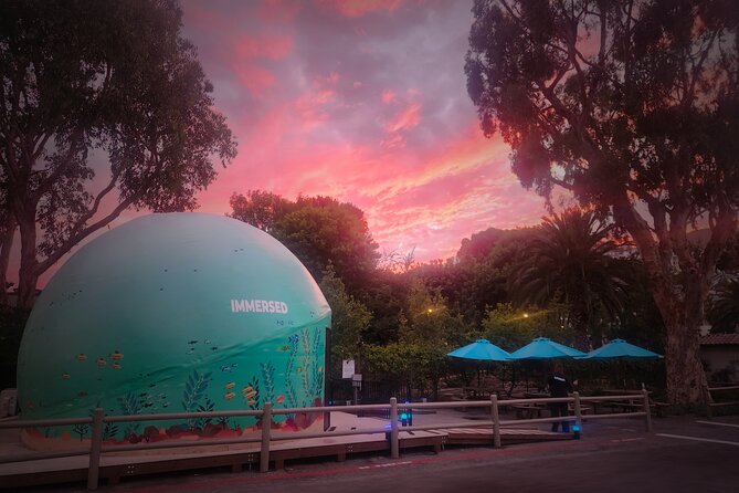 A 360° Immersive Ocean Movie Experience (Catalina Island) - Elevating the Senses