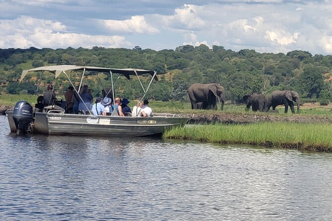 A Chobe Full Day Tour - Botwana - Wildlife Spotting Opportunities