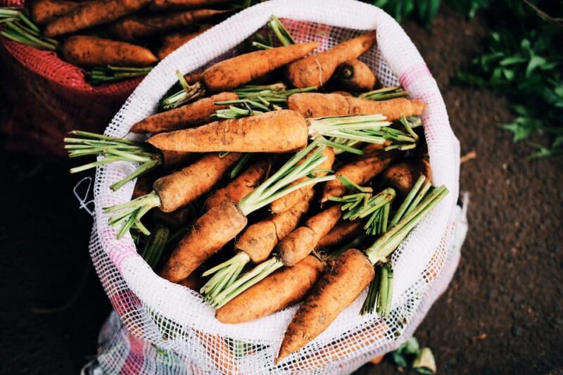 "A Day as a Farmer" Experience - Transportation and Logistics