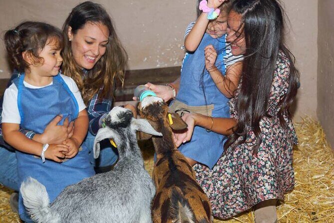 A day at the farm - Exploring "A Day at the Farm" in Gran Canaria