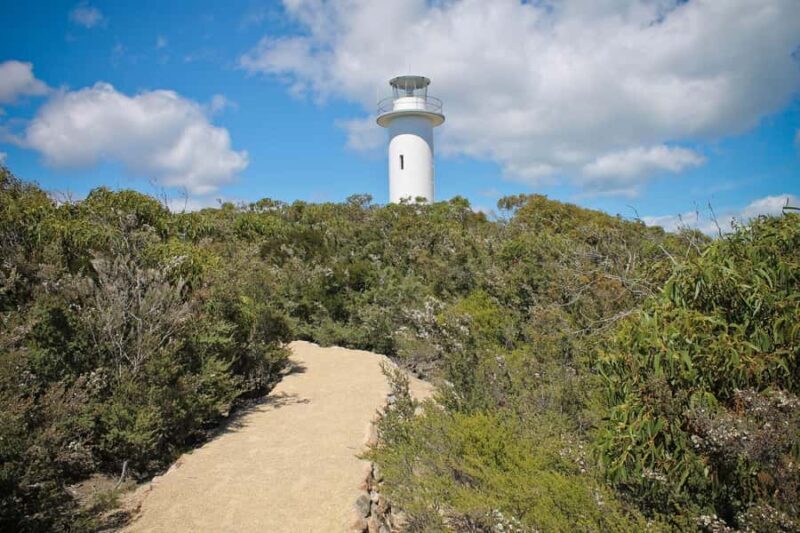 A Day At Wineglass Bay - Launceston to Hobart - Who Is This Tour Best Suited For?