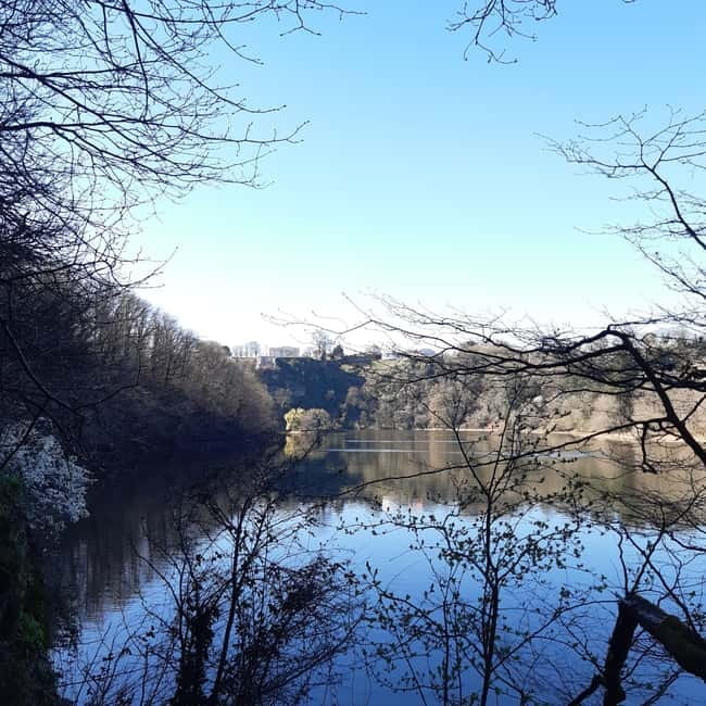 A Day Hike in Mervent Forest (Vendée) - What to Expect from Your Mervent Forest Hike