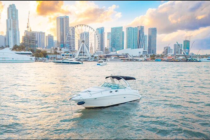 A Day in Miami Paradise - FAQ