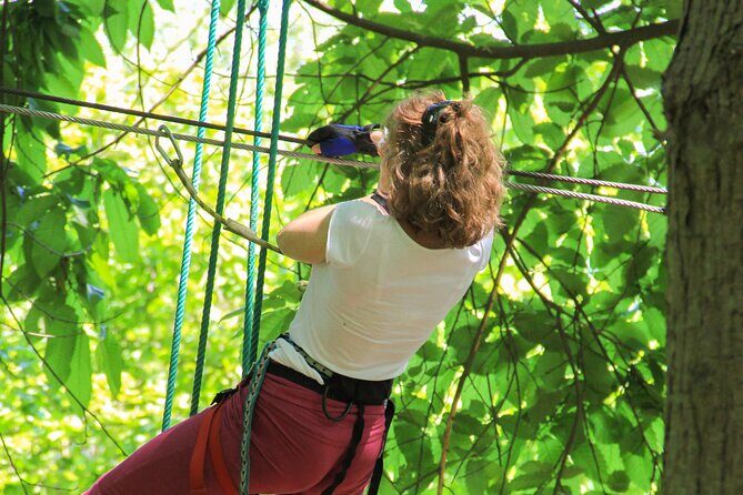 A Day in the Largest Adventure Park in France - A Closer Look at Sherwood Parc