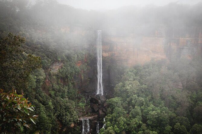 A Day In The Vineyards || Luxury Private Winery Tour From Sydney - Key Points  