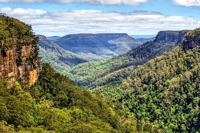 A Day In The Vineyards || Luxury Private Winery Tour From Sydney - The Itinerary in Detail