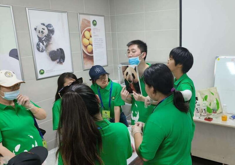 A Day-long Dream Tour: Being a Giant Panda Keeper - The Experience: What You Can Expect