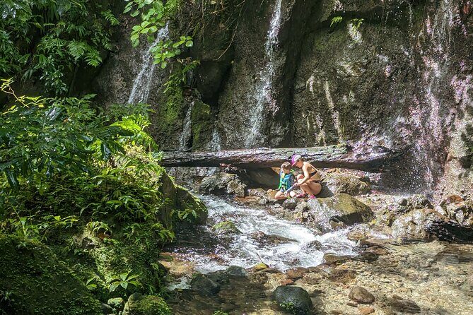 A Day of Relaxation in the Jungle and Waterfalls of Dominica - What’s Included and What’s Not