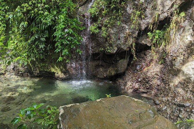A Day of Relaxation in the Jungle and Waterfalls of Dominica - The Experience: A Closer Look