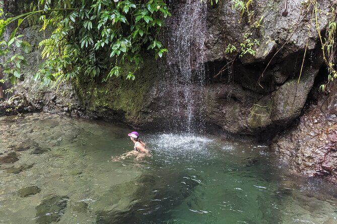 A Day of Relaxation in the Jungle and Waterfalls of Dominica - Final Thoughts: Who Will Love This Tour?