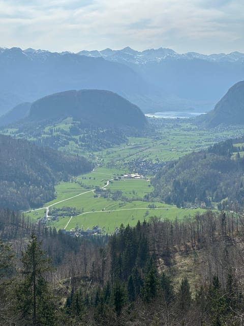 A Day Trip From Ljubljana: Magical Nature and Lake Bohinj - Local Cuisine and Dining Options