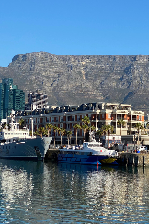 A DAY VISIT TO Table Mountain & Robben Island in Cape Town - Good To Know