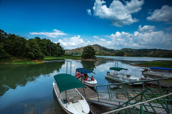 A Day With Nature: Boat Trip on Gatun Lake and The Aerial Tram - Marveling at Rainforest Canopy Views