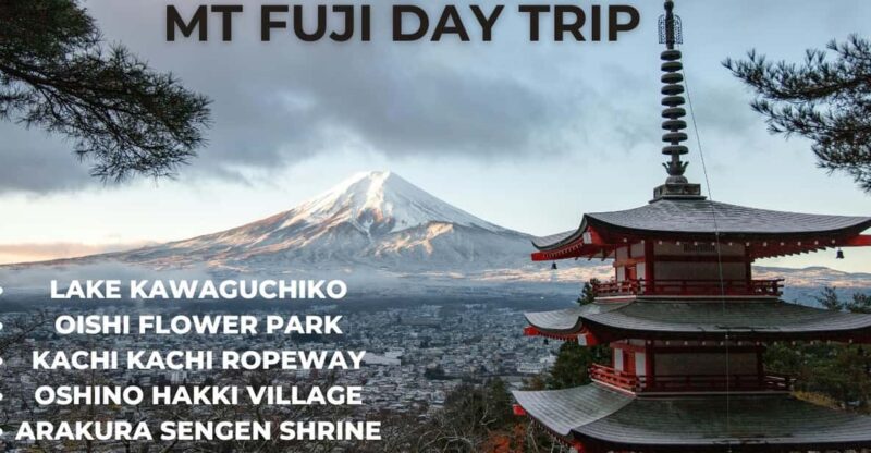 A Full Day Tour in a Private Car or Van of Mt Fuji - Oishi Flower Park Experience