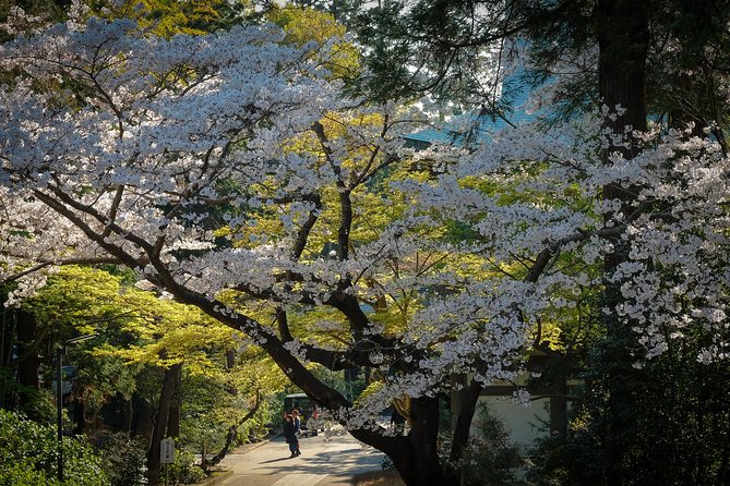 A Fun Day Out Discovering Kamakura - Sampling Local Delicacies
