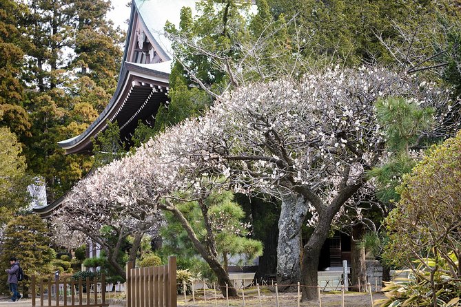 A Fun Day Out Discovering Kamakura - Transportation and Logistics
