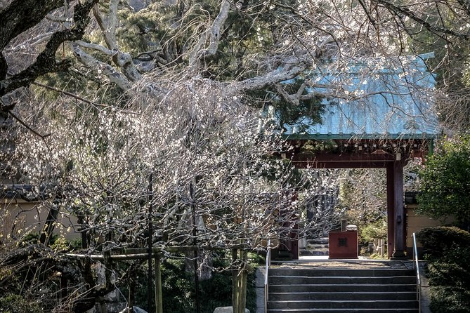 A Fun Day Out Discovering Kamakura - Customizable Tour Experience